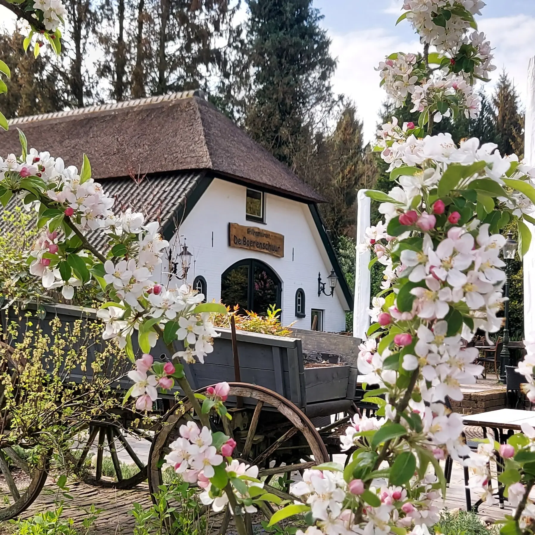 Bloemen Boerenschuur